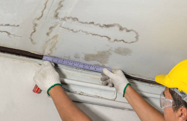 Reliable Mold Remediation contractor in La Junta, CO by Water Damage Irwin